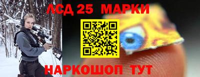 гидропоника Краснознаменск