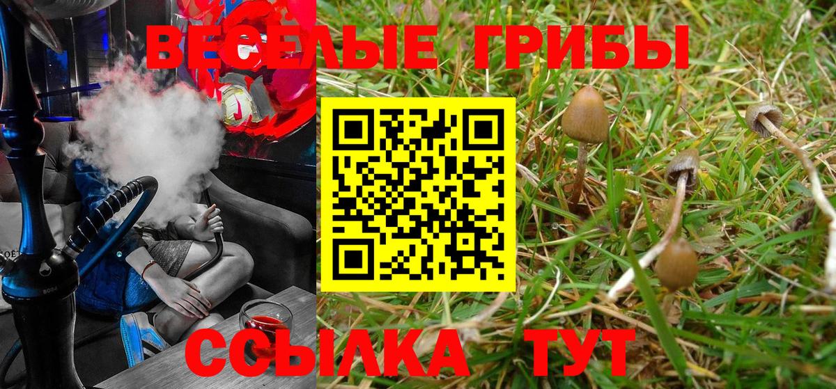 Галлюциногенные грибы Magic Shrooms Соликамск